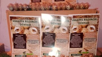 Ahmet Arıkan Bıldırcın Yumurtasıyla Hayatlara Dokunuyor!